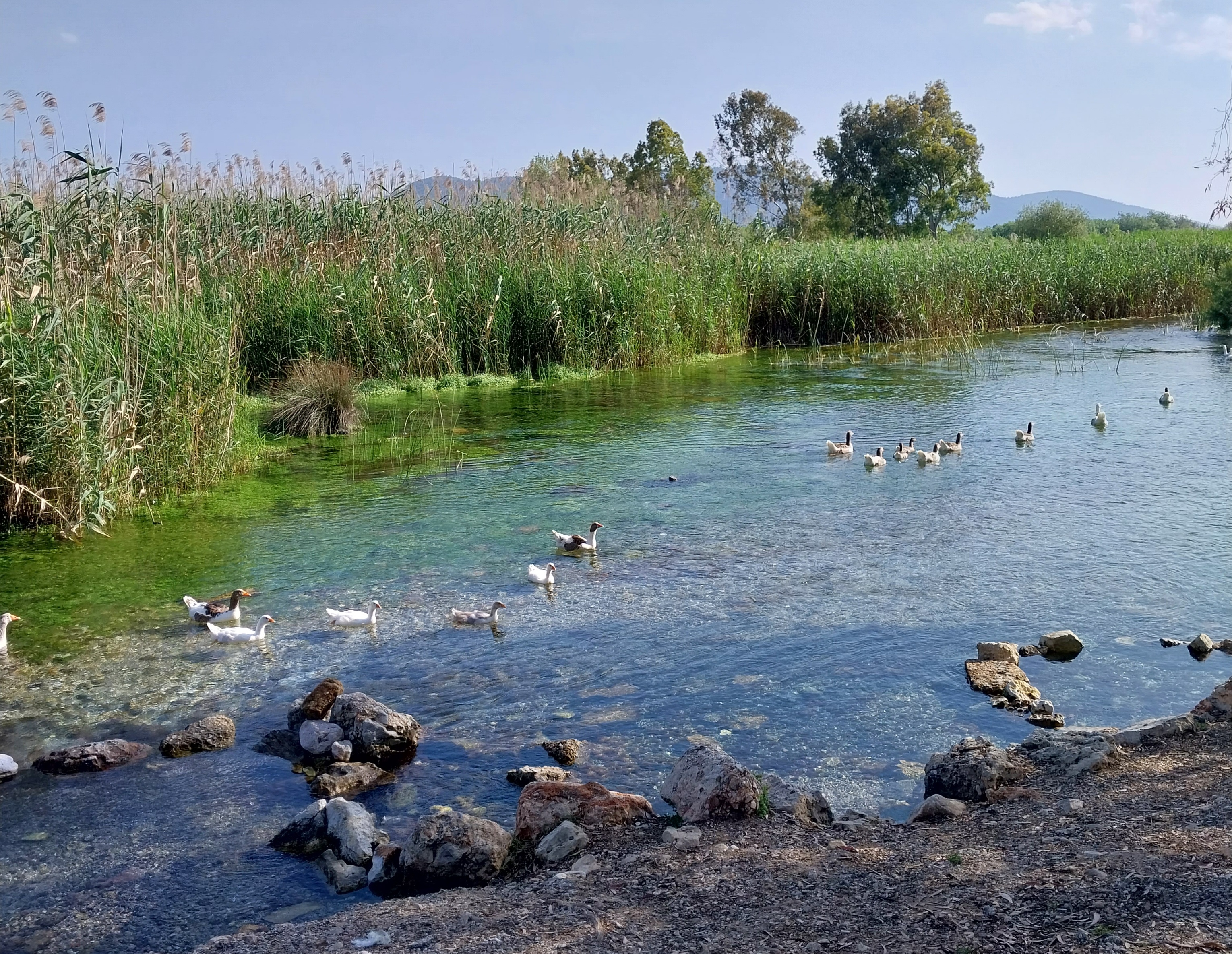 Горная река в Акъяке